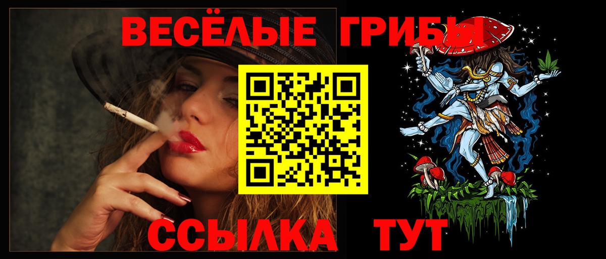 Псилоцибиновые грибы ЛСД  наркотики  Кимовск  Вход с VPN 